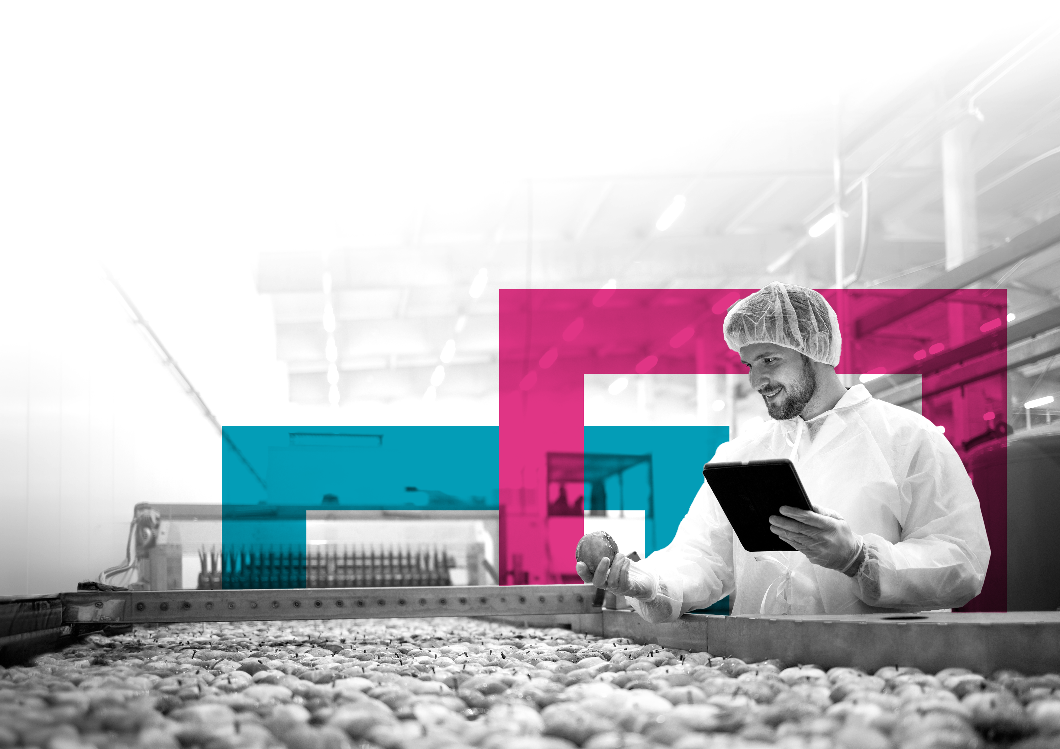 SINGLE-IMAGE_squares-food-processing-factory-controlling-the-apple-process-with-a-tablet_jun24